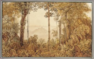 Veduta su Rio de Janeiro dalla foresta di Tijuca da Thomas Ender