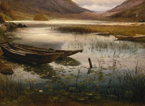 Barche e ninfee da Thomas Fearnley