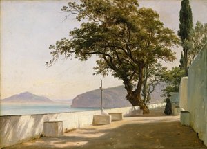 Terrazza con quercia, Sorrento da Thomas Fearnley