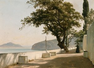 Terrazza con quercia di pietra, Sorrento da Thomas Fearnley