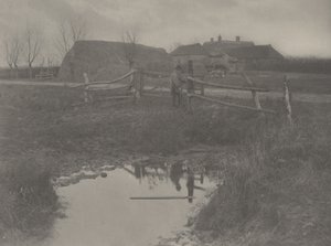 Una fattoria di palude, 1886 (foto)