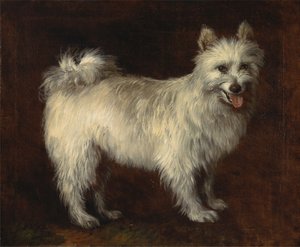 Cane Spitz da Thomas Gainsborough