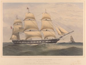 Clipper 