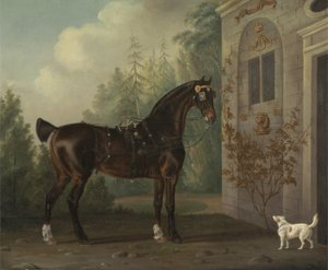 Cavallo da Carrozza Baio Scuro di Lord Abergavenny con un Terrier da Thomas Gooch