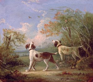 Spaniel in un paesaggio