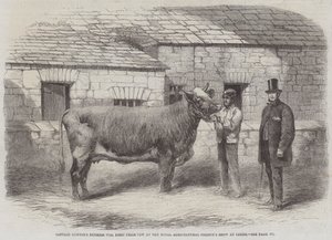 La duchessa di Captain Gunter 77th, prima mucca premiata alla mostra della Royal Agricultural Society a Leeds da Thomas Harrington Wilson