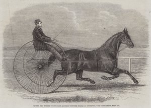 Jackey, il vincitore delle ultime Aintree Trotting Stakes a Liverpool da Thomas Harrington Wilson