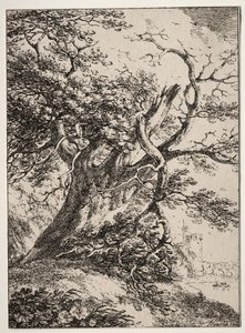 Specimens of Polyautography: Paesaggio con una quercia, 1803 da Thomas Hearne