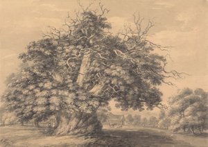 Il castagno a Little Wymondley, Hertfordshire da Thomas Hearne