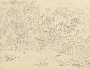 Alberi nel parco di Ashtead, Surrey da Thomas Hearne