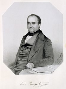 Carlo Lucien Jules Laurent Bonaparte, Principe di Canino e Musignano (1803-57) 1850 da Thomas Herbert Maguire