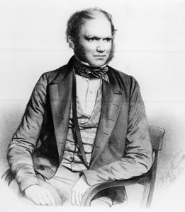 Charles Darwin, 1849 da Thomas Herbert Maguire