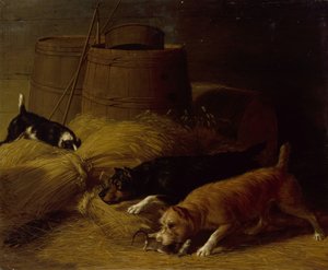Ratti tra i covoni di orzo da Thomas Hewes Hinckley