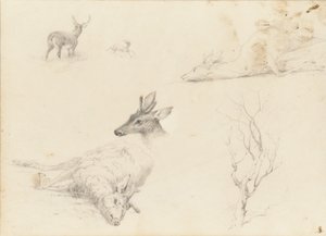 Taccuino di schizzi di paesaggi e soggetti animali, 1860-64 da Thomas Hewes Hinckley