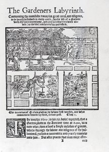 Pergolato costruito come ombra contro il sole e piantagione in aiuole rialzate, da The Gardeners Labyrinth, 1577 da Thomas Hill