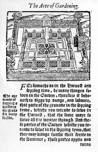 Giardino elisabettiano da The profitable arte of gardening, 1568 da Thomas Hill