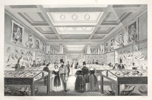 Museo Britannico, Galleria Zoologica, da 