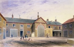 Il cortile verde della città, 1855