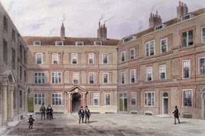Il Collegio degli Avvocati, Doctors