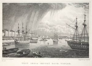 West India Docks, Isle of Dogs, da Londra e i suoi dintorni nel XIX secolo pub. Jones e Co., 1827-1829 da Thomas Hosmer Shepherd