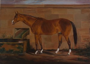 Ritratto di Lexington da Thomas J. Scott