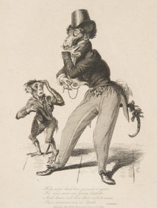 Scimmia dandy, da Monkey-ana, o uomini in miniatura