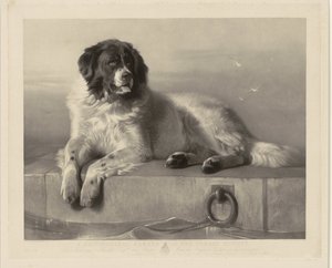 Ritratto del cane da salvataggio Bob, sdraiato su un molo da Thomas Landseer