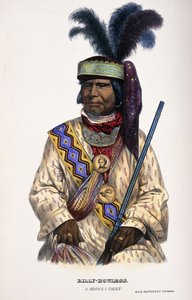 Billy-Bowlegs, un capo Seminole, 1899 da Thomas Loraine McKenney