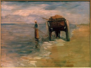 Pescatrice di alghe da Thomas Ludwig Herbst