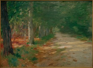 Sentiero nel bosco con macchie di sole da Thomas Ludwig Herbst