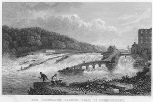 Il salto del salmone di Coleraine, contea di Londonderry (incisione)