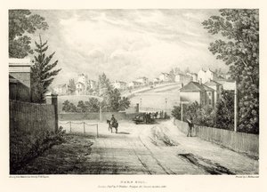 Hern Hill, Londra da Thomas Mann Baynes