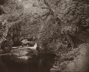 Il buco di Dargle, ca. 1865 da Thomas Marcus Brownrigg