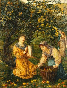 Raccolta di mele da Thomas Matthews Rooke
