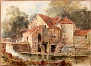 Il mulino, Jesmond Dene da Thomas Miles Richardson