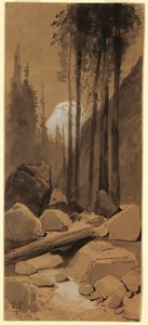 Disegno, Nella valle dello Yosemite, 1872 da Thomas Moran