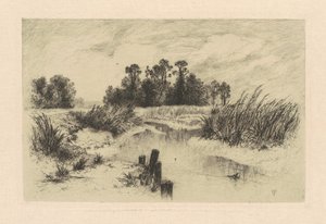 Nei Prati di Newark da Thomas Moran