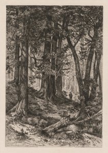 Interno di una foresta californiana (da Thomas Moran, americano). da Thomas Moran