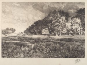 Paesaggio di Long Island da Thomas Moran