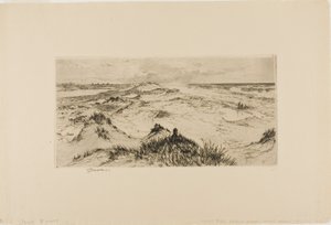 Guardando oltre le dune di sabbia - Easthampton
