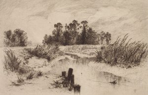Paesaggio paludoso con ruscello da Thomas Moran
