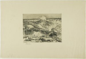 Le rapide sopra il Niagara da Thomas Moran