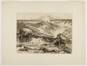 Le rapide sopra il Niagara da Thomas Moran