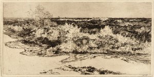 Il mare risonante da Thomas Moran