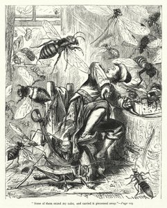 Illustrazione per I viaggi di Gulliver di Jonathan Swift da Thomas Morten