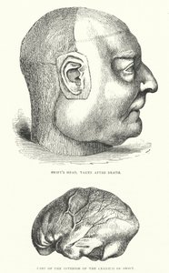 Illustrazione per la vita di Jonathan Swift da Thomas Morten