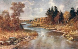 Nel paese degli alci, vicino al lago Superiore (litografia a colori)