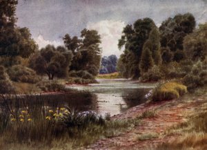 Giardini di Kew: Il lago, guardando a sud da Thomas Mower Martin