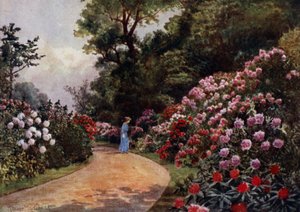 Kew Gardens: Il sentiero dei rododendri da Thomas Mower Martin
