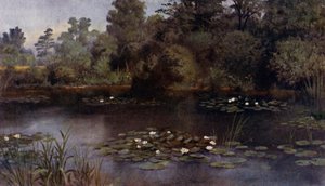 Giardini di Kew: Lo Stagno delle Ninfee da Thomas Mower Martin